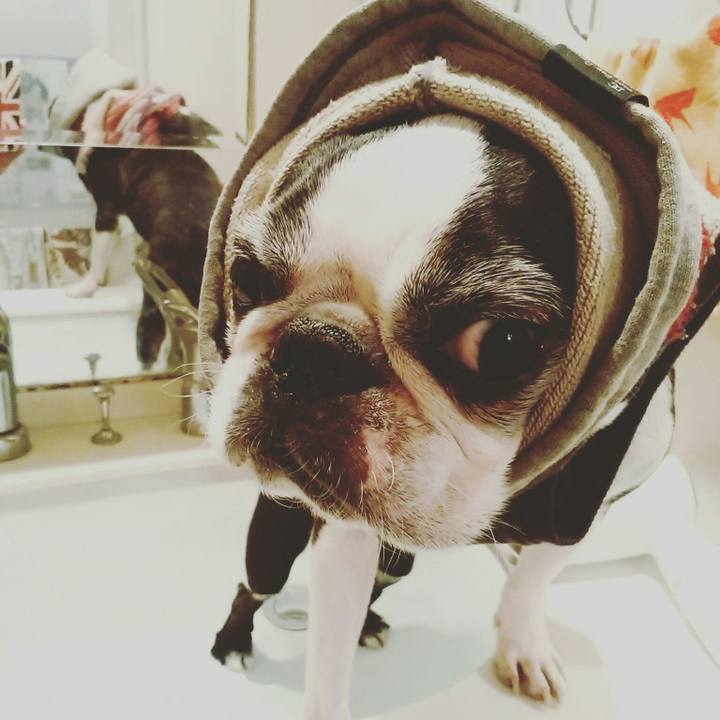 C4096fb3 0065 4866 90fe 246d7a69b760 1518372547285