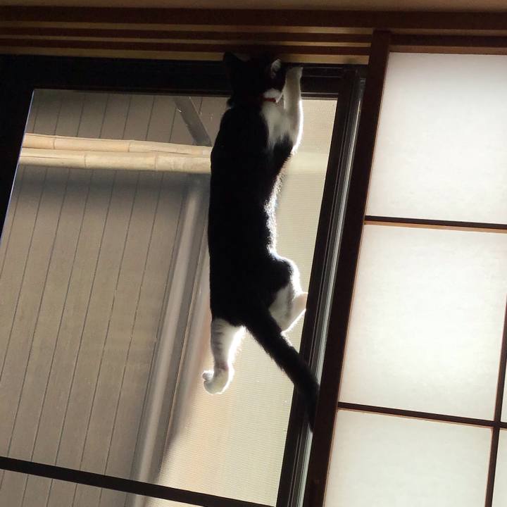 C4097802 0848 4017 91a5 67bef08947e3 1628552479360