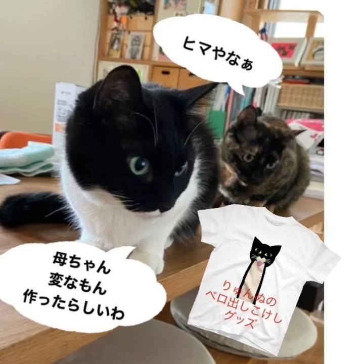 C409a663 e076 4a70 942f 501fe8008518 1629111695685