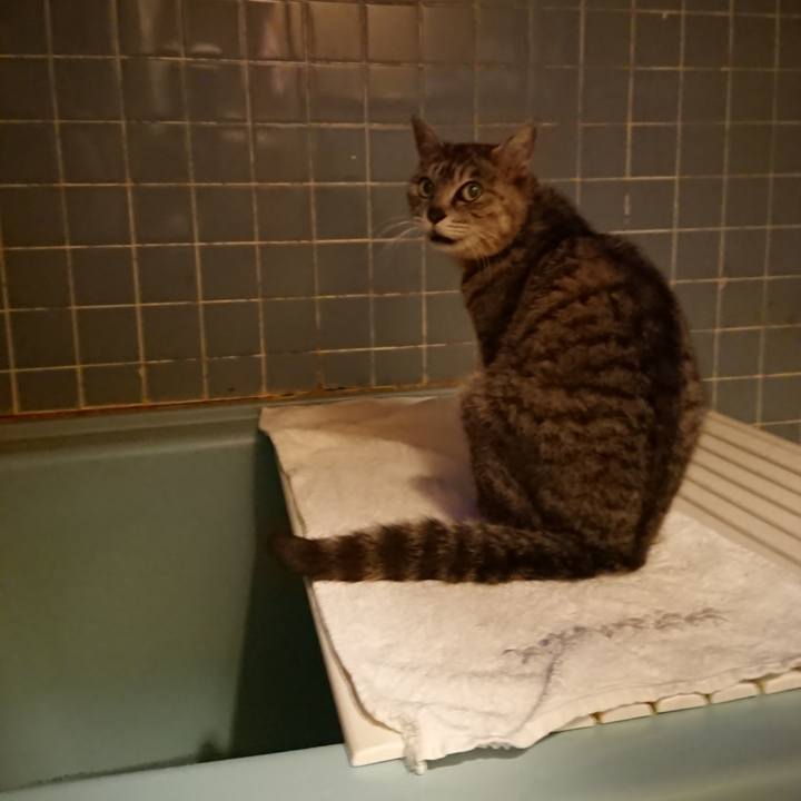 C409eb71 10be 4cdf b167 41b6e2ace84e 1590834286056