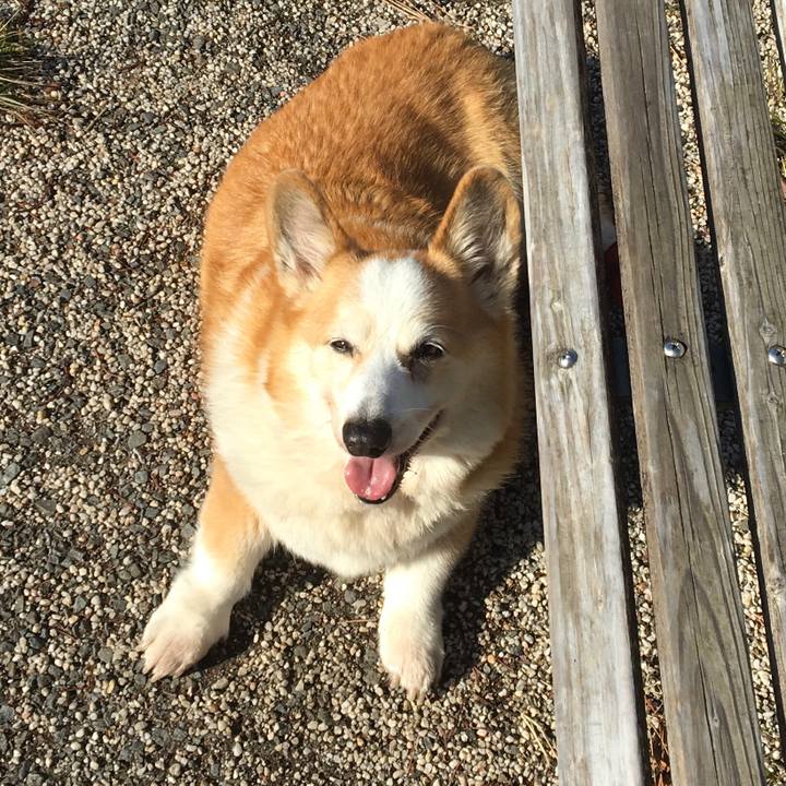 C409ebbe 0c4b 4427 8b5b 6aa79449f657 1612740607009