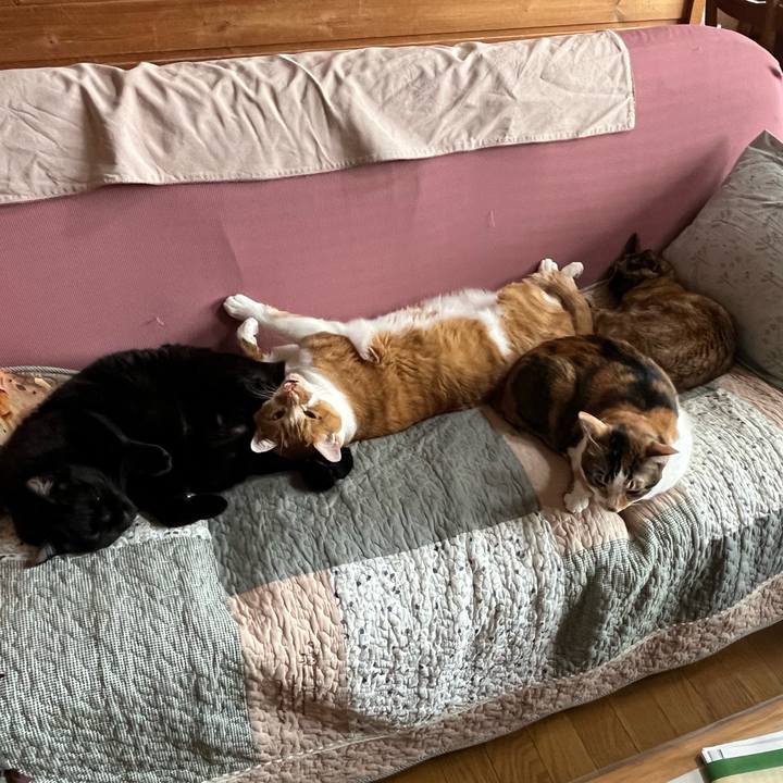 C40a1710 6ed6 44eb 958a 0274ba099e6f 1751069762066