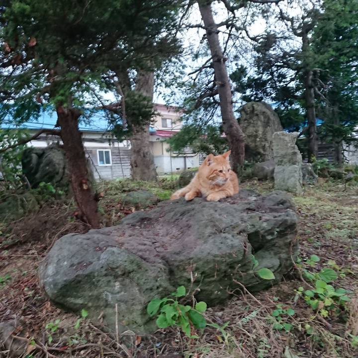 C40a5642 3350 49f1 84fd ce60da8f4d59 1658743765809