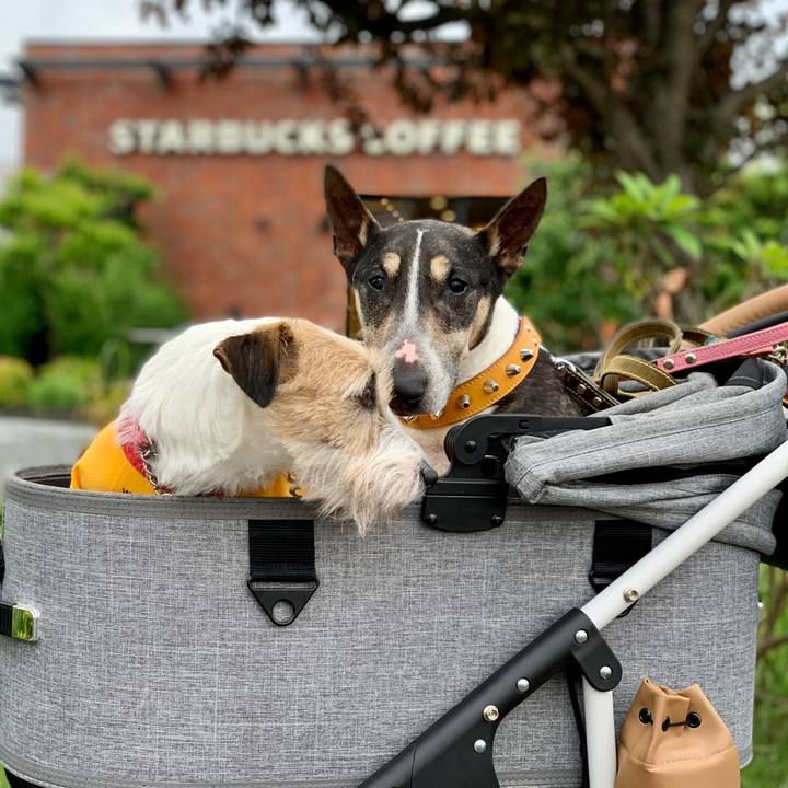 C40a69d2 4937 4278 a739 4833dc2c67da 1622203049593