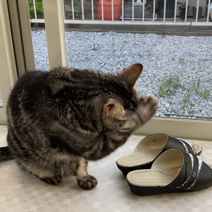 C40a7217 ac56 4ed8 a932 9ce84668cd2c 1683545451631