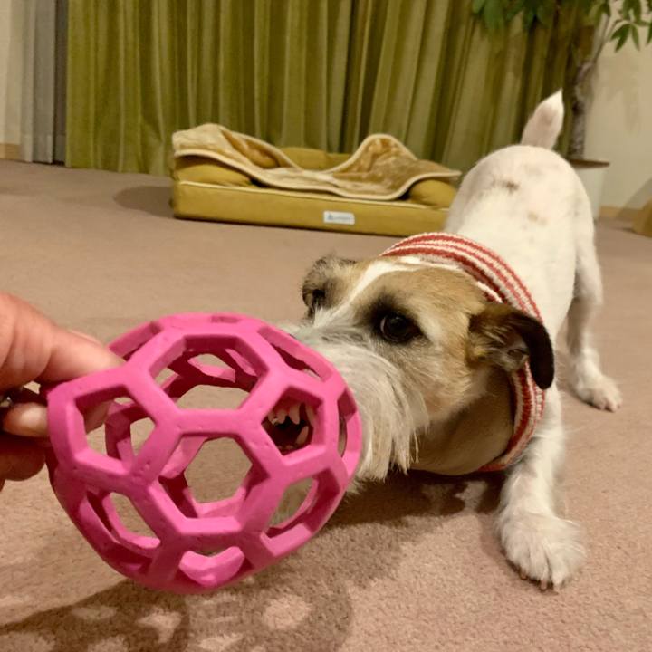 C40a8215 1d77 476f b6aa 92d14cc465e2 1675855279147