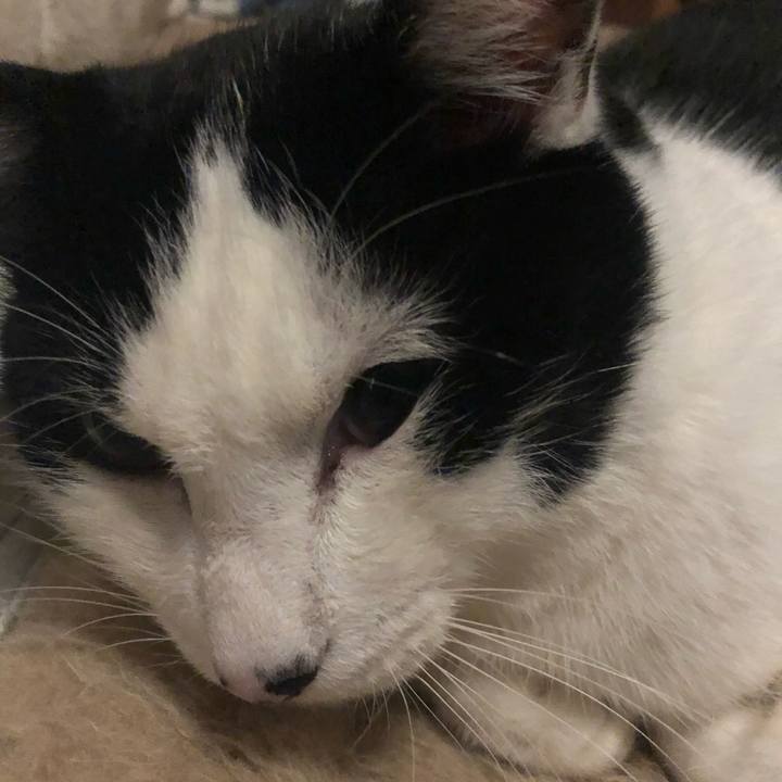 C40aa0fa 9331 414c a915 4b5c78cbf5a3 1547199781178