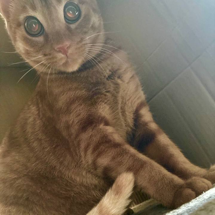 C40ac308 fa56 4ff2 861e 93a75abbb9fe 1598605146445