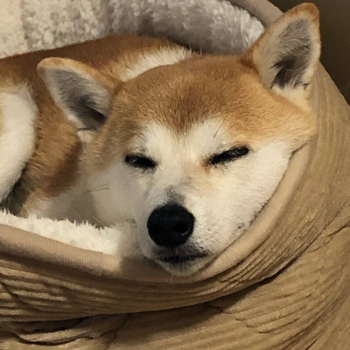 C40b1028 e881 479b be34 7d1fc9c7db32 1572997912181