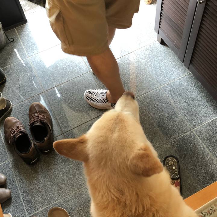 C40b15a4 db8f 4820 91fb 73c468a5ca7d 1557129237290