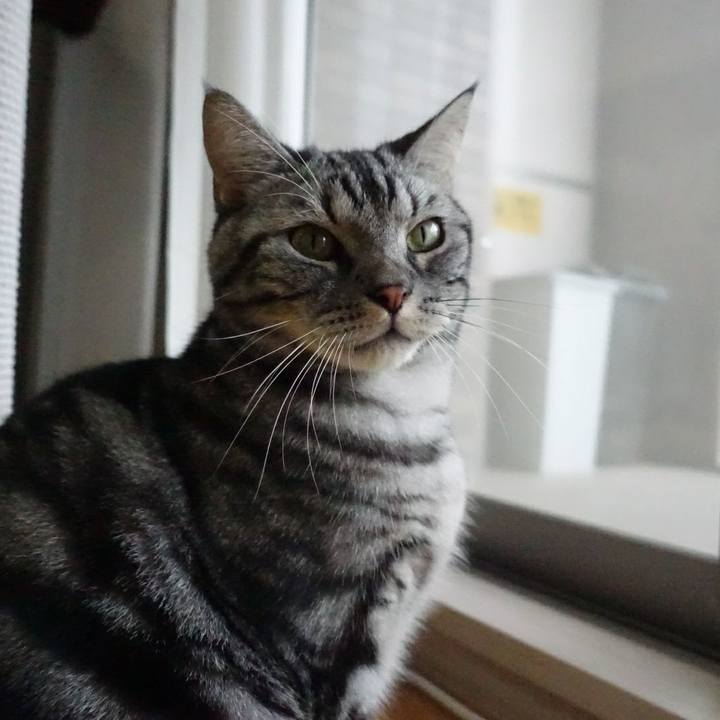 C40b2e68 9993 472a a2e0 8271edce0fcb 1509634777706