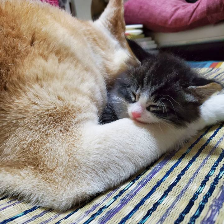 C40b6384 2797 4662 83ce 7cc06b283e4b 1624846478325