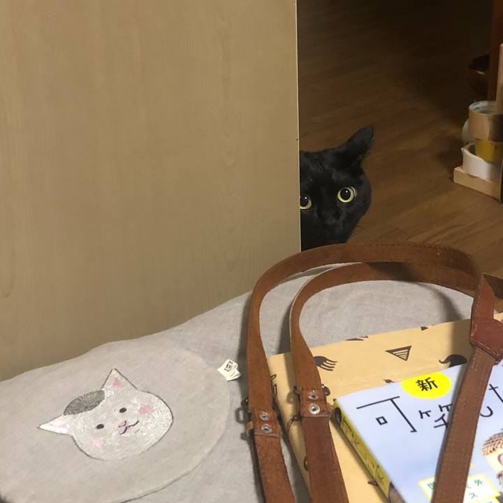 C40b6455 e10a 4892 930e 3c33c8b6e2e7 1602297794338