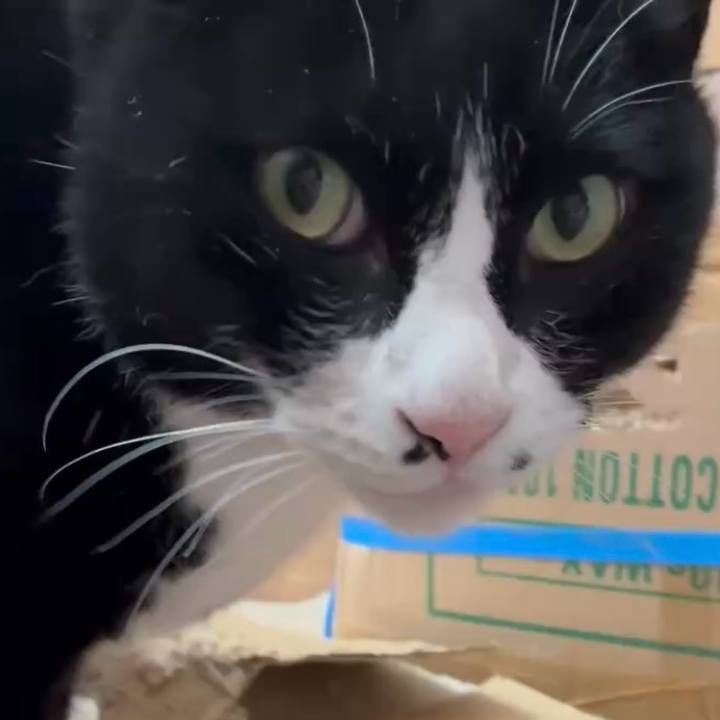 C40b813c 3a4e 492c 9c48 5e3aa50be583 1766497162052