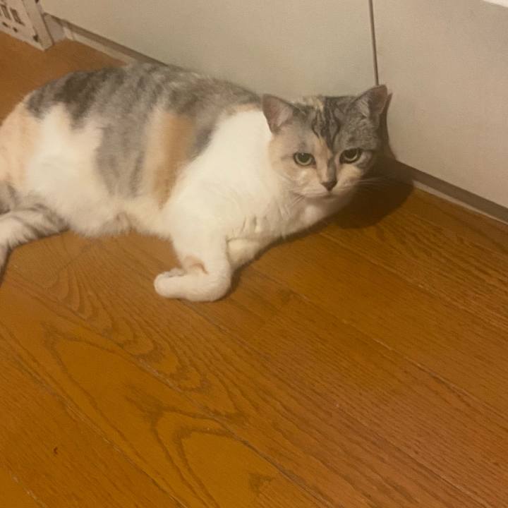 C40b8597 1020 42c7 bd77 e1aae7d3901e 1625293412686