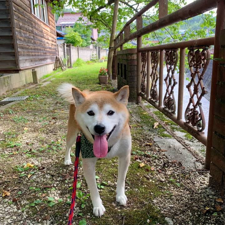 C40b8852 1597 4f96 802d f3009bc4cb12 1688725787622