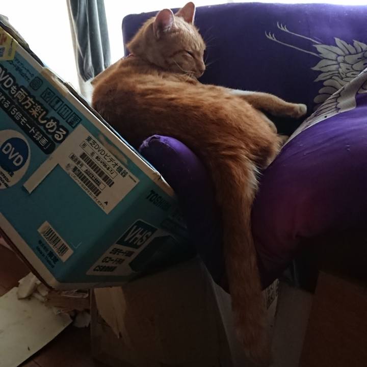 C40b9086 c077 46b0 924e 7aaf62fbe9cf 1598050590775