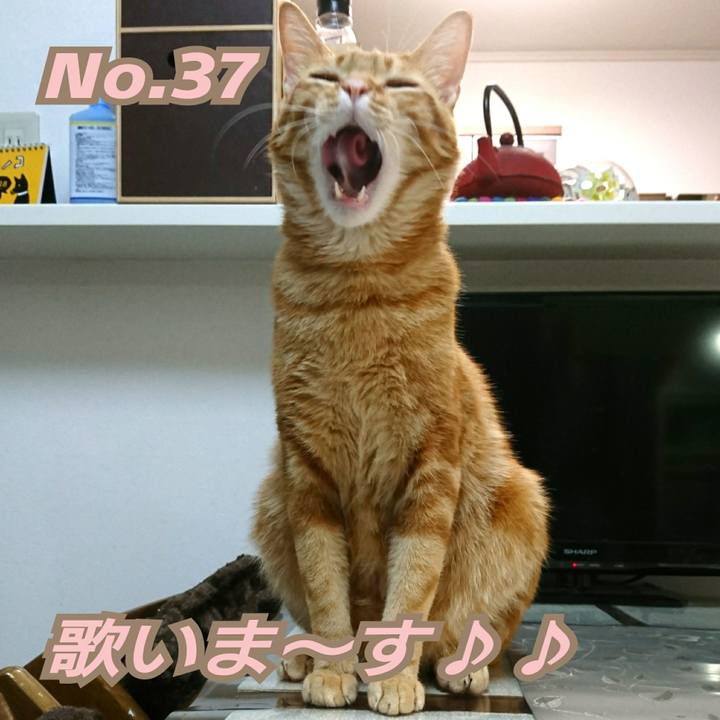 C40b968f 2c68 4ab6 9954 edc117a95ea3 1522501515689