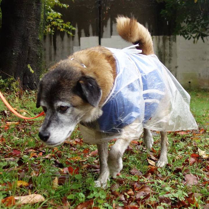 C40b9be4 40c5 42d1 8788 a3911404a263 1574466856170