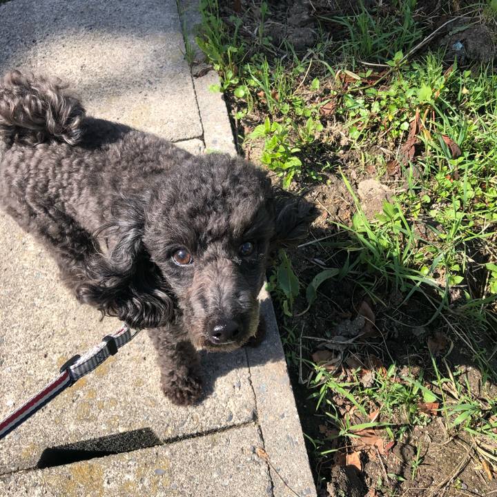 C40ba9df c5e0 4061 b7d9 6c0249aa08a7 1589895823243