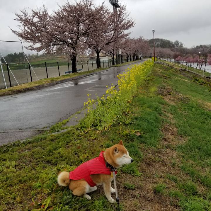 C40bb410 fc84 48f5 a1e8 2a8b68aeee2b 1618638452652