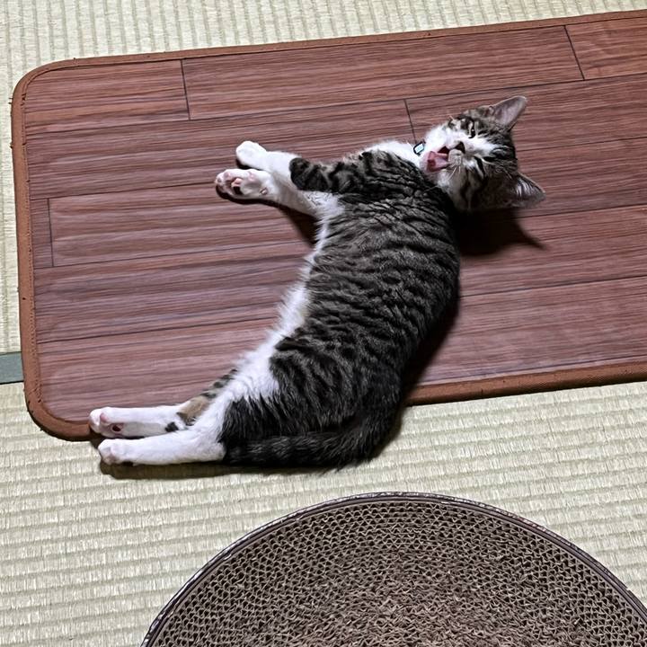 C40bd783 1ac4 4b6d a8a1 60958cbe36d0 1768040240073