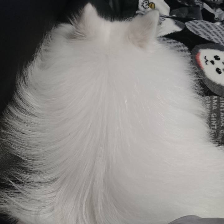 C40bf6fa e94c 416c 99eb 7c619f36eb67 1579599166339