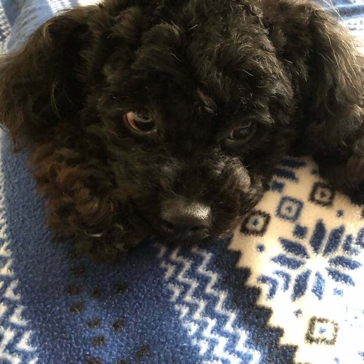 C40c000f 999a 4e03 9cac 2afcb75ba655 1553568094404