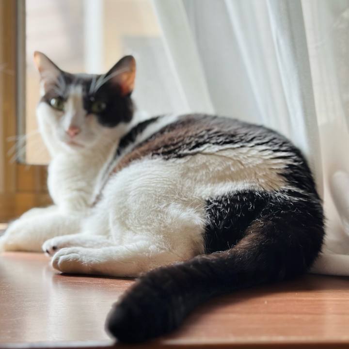 C40c267a d3c4 41ad 884d a63338345583 1719199511168