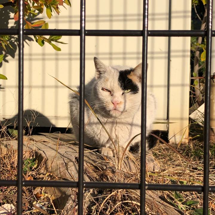 C40c39b9 84a8 4e40 8249 1e3704752d28 1644043362844