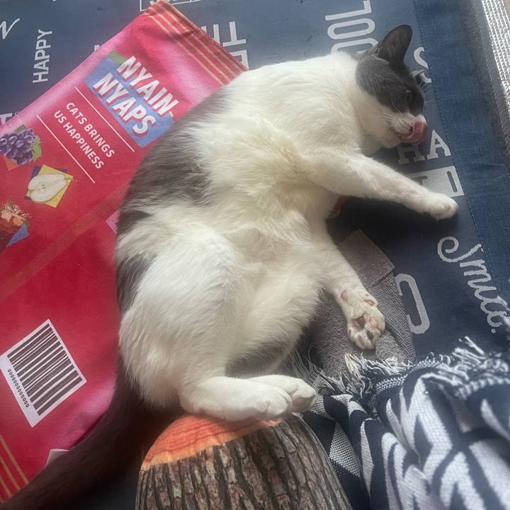 C40c4d23 b4ea 466f 951d ca2cb0e818ff 1718317714184