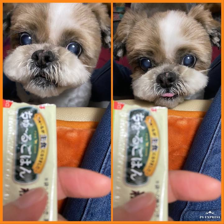 C40c6e43 ee95 4c8c 9411 b4411eeacc71 1650777290456