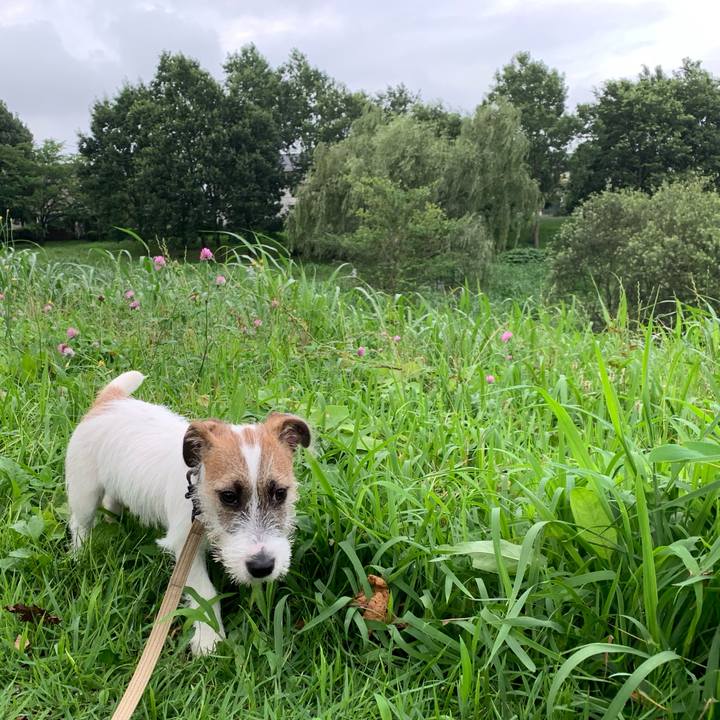 C40c70ff 164f 4a65 b125 39eeeeb10874 1563956847796