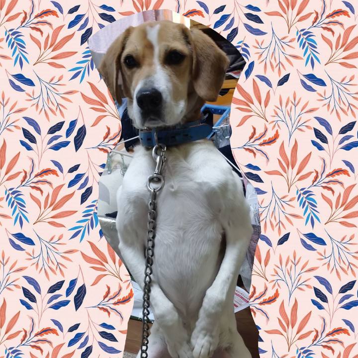 C40cc9cf ba69 4ba8 8df3 1de40b0fd241 1615190331644