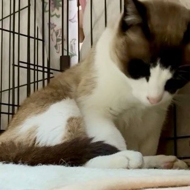 C40cdfc0 6c39 430e 81f9 dce8ad8fd881 1744450576489