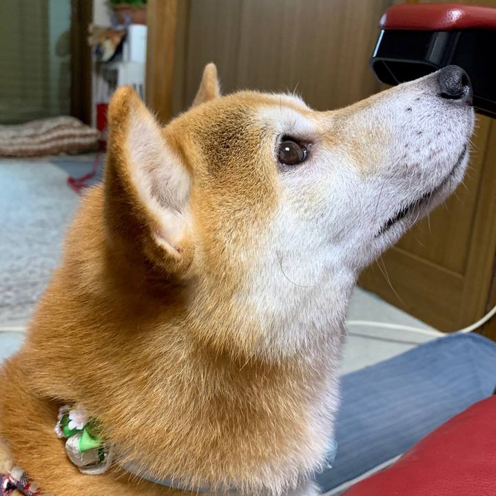 C40cf649 ecc5 43a1 98fb 2b4157e42708 1569143904077