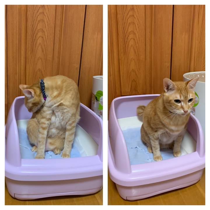 C40d103d edfe 4f51 b93e a7c6f71ae3b0 1588190729127