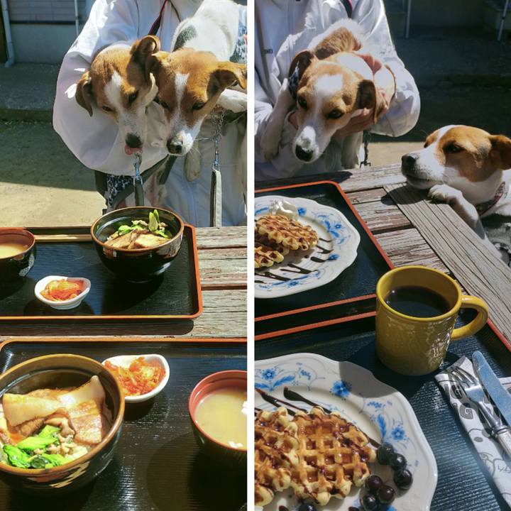 C40d846e 0fe9 4aed aad1 56420a094627 1773564200926