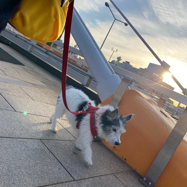 C40da86c 2b77 4bd4 861a 978049993cb1 1608346171680