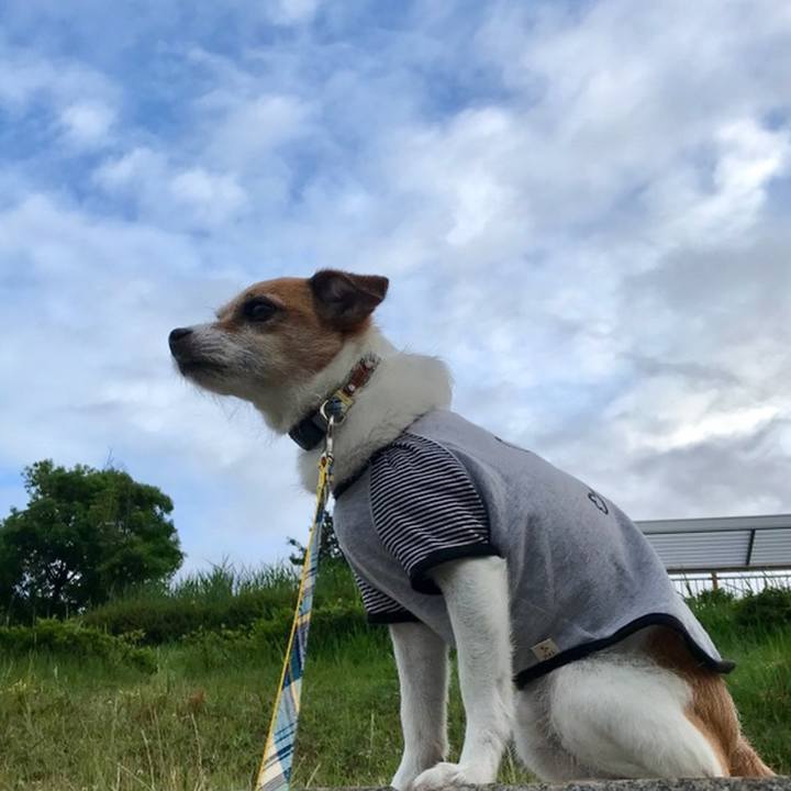 C40dccee 94a5 4cc0 b988 5d3a7badc691 1560202539875