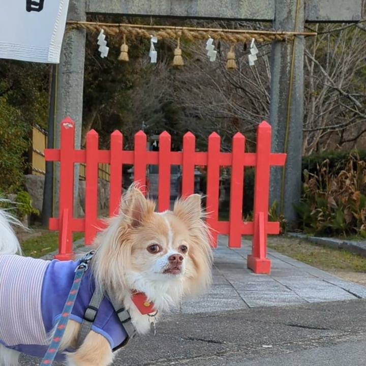 C40dd043 8202 4a0c a535 43af6196e558 1767409893058