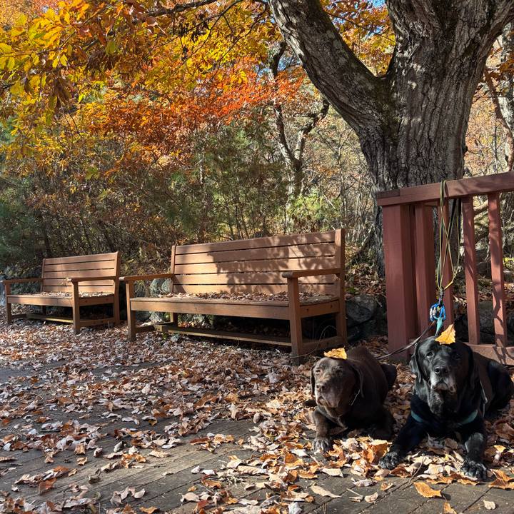 C40de89d b754 4854 b979 14b5386748f7 1763901274573