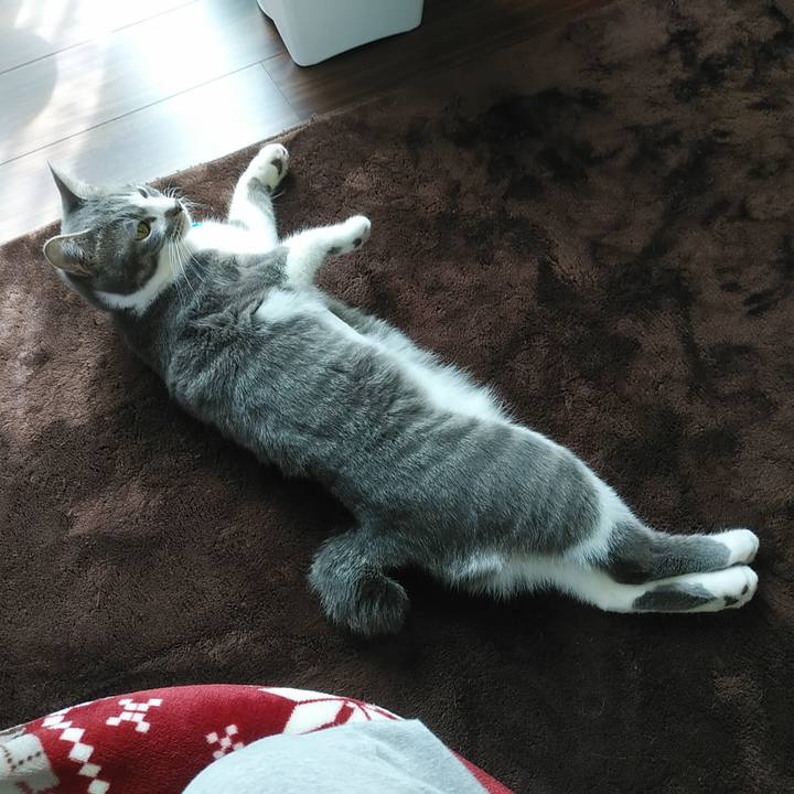 C40dfa08 932c 422c b5a5 5d4025a19695 1586147025299