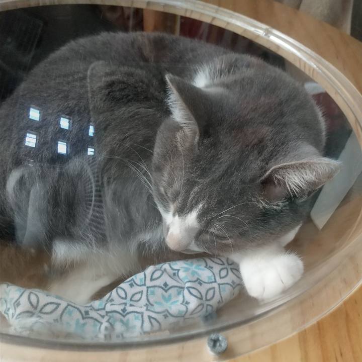 C40e09cf 0003 4e05 bdde 8c151773a2cc 1626673820010