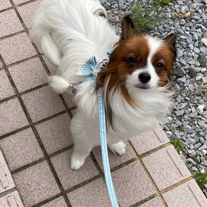 C40e7671 3c37 4bd2 894e a4ef7e2a9d0f 1631066076035