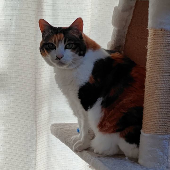 C40e7755 9a3e 4697 b410 e8a319cbf846 1643848484088