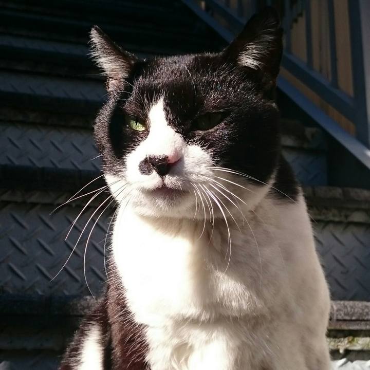 C40e9a7d bbd4 4ea4 ba06 1e96f087052c 1513995384413