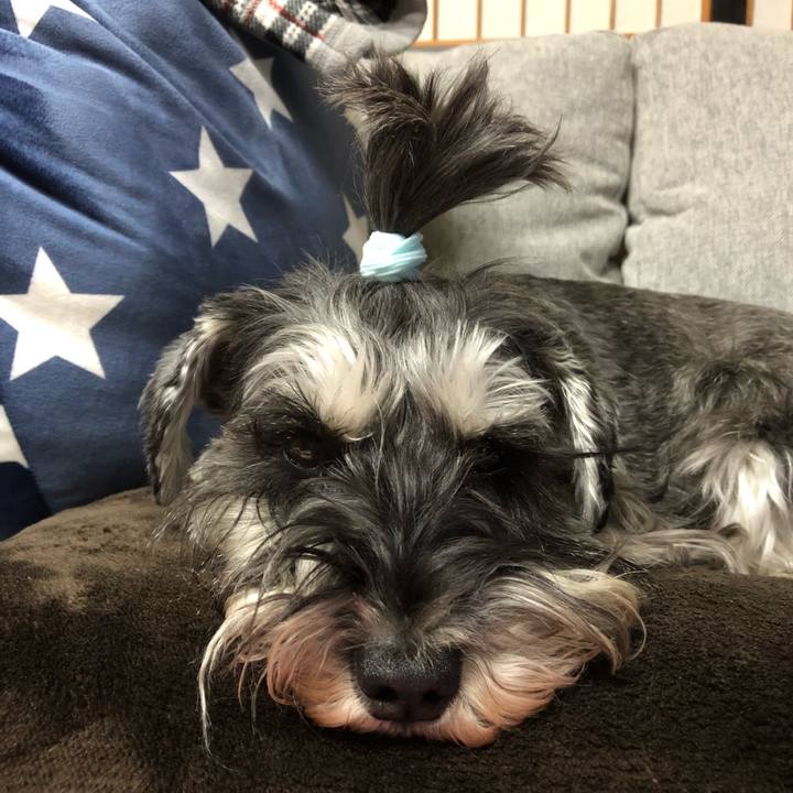 C40ebf01 36c8 4692 bc56 dac7d8443714 1584622137141