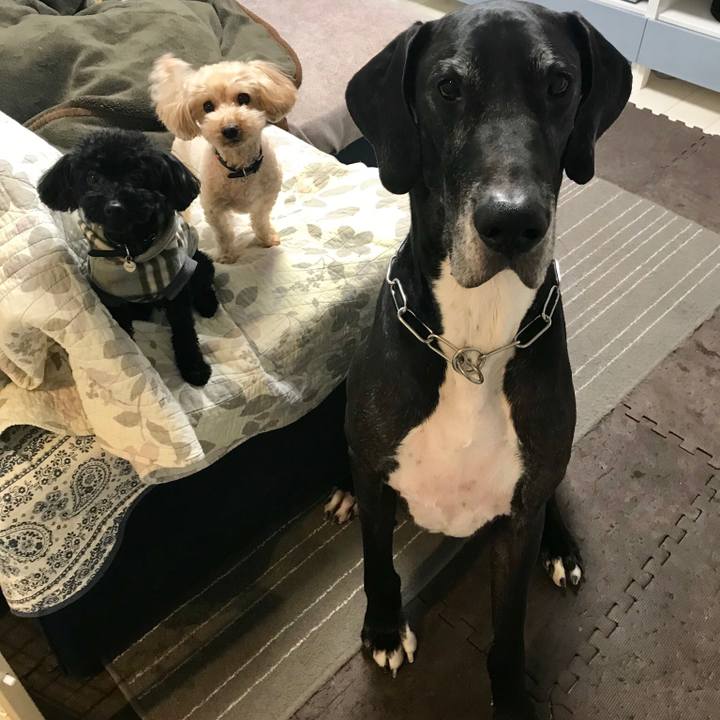 C40ec475 b8da 41f1 b424 66deb08ee704 1511132286143