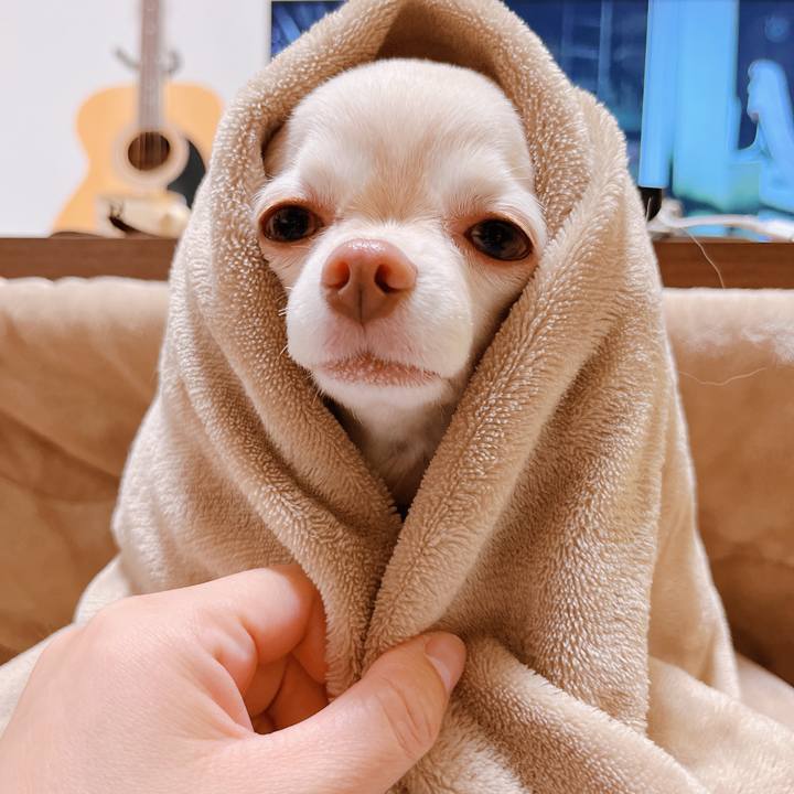 C40eddb9 e7b9 4ebb 896e b1a722fb63b5 1669428137566